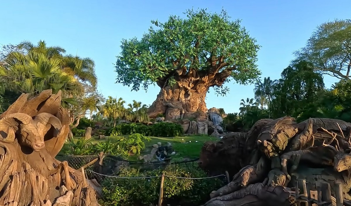 tree of life disney animal kingdom