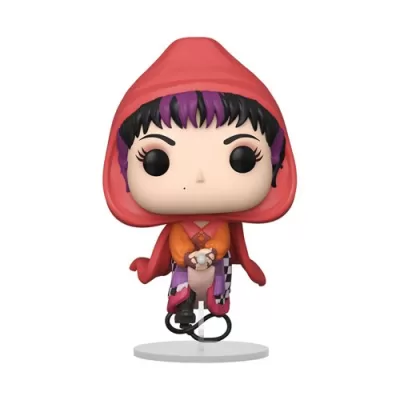 Hocus Pocus Mary Flying Funko Pop! Vinyl Figure #772