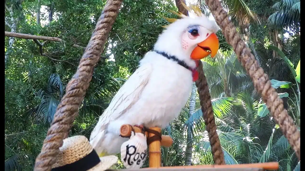 Rosita (Walt Disney's Enchanted Tiki Room)