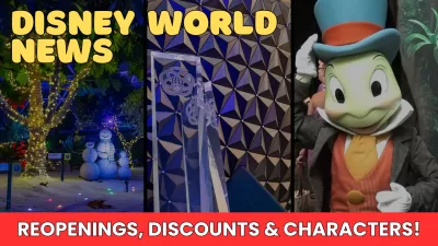 Disney World News