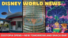 Disney World News