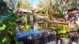 Flame Tree Barbecue | Disney World