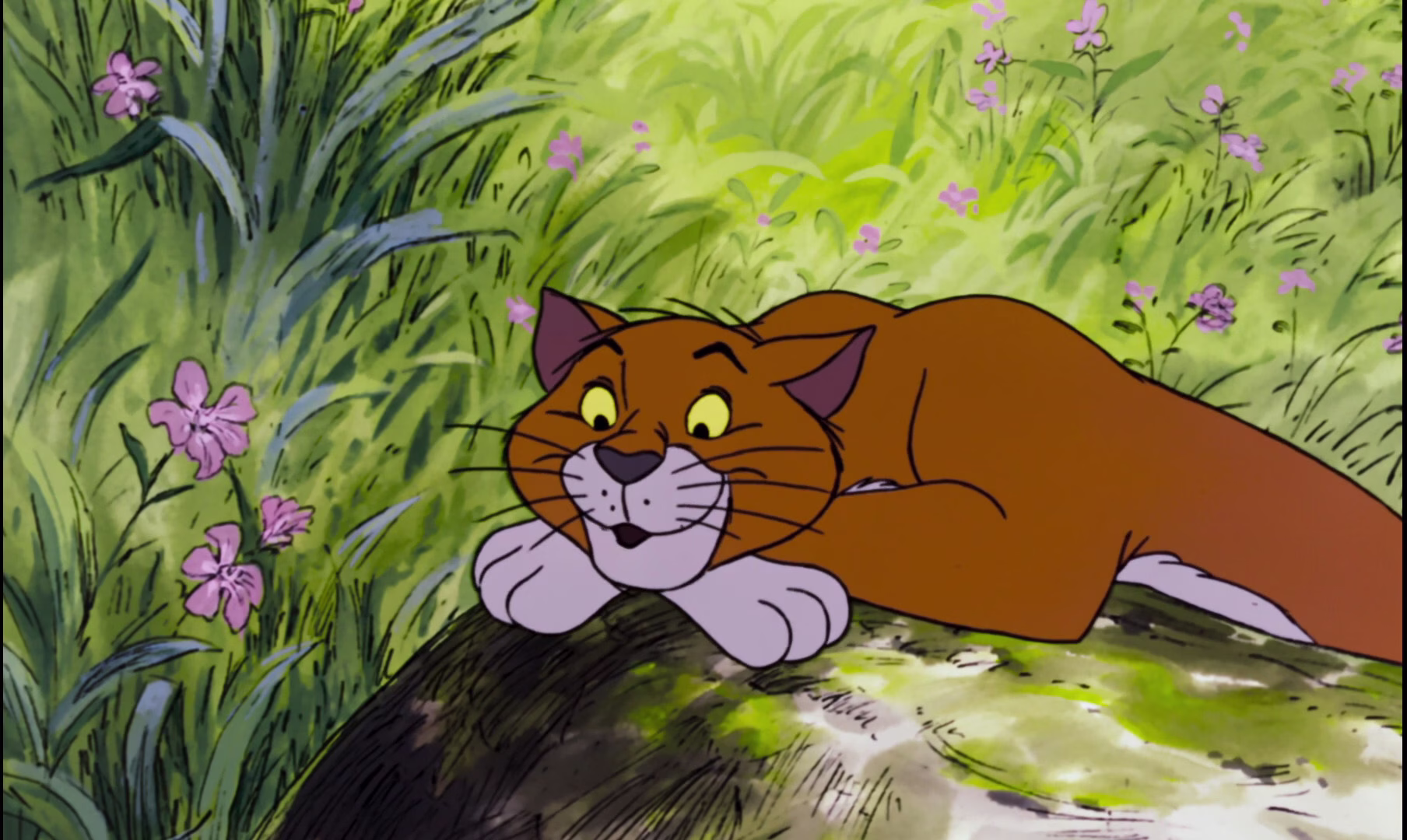 Thomas O'Malley (The Aristocats)